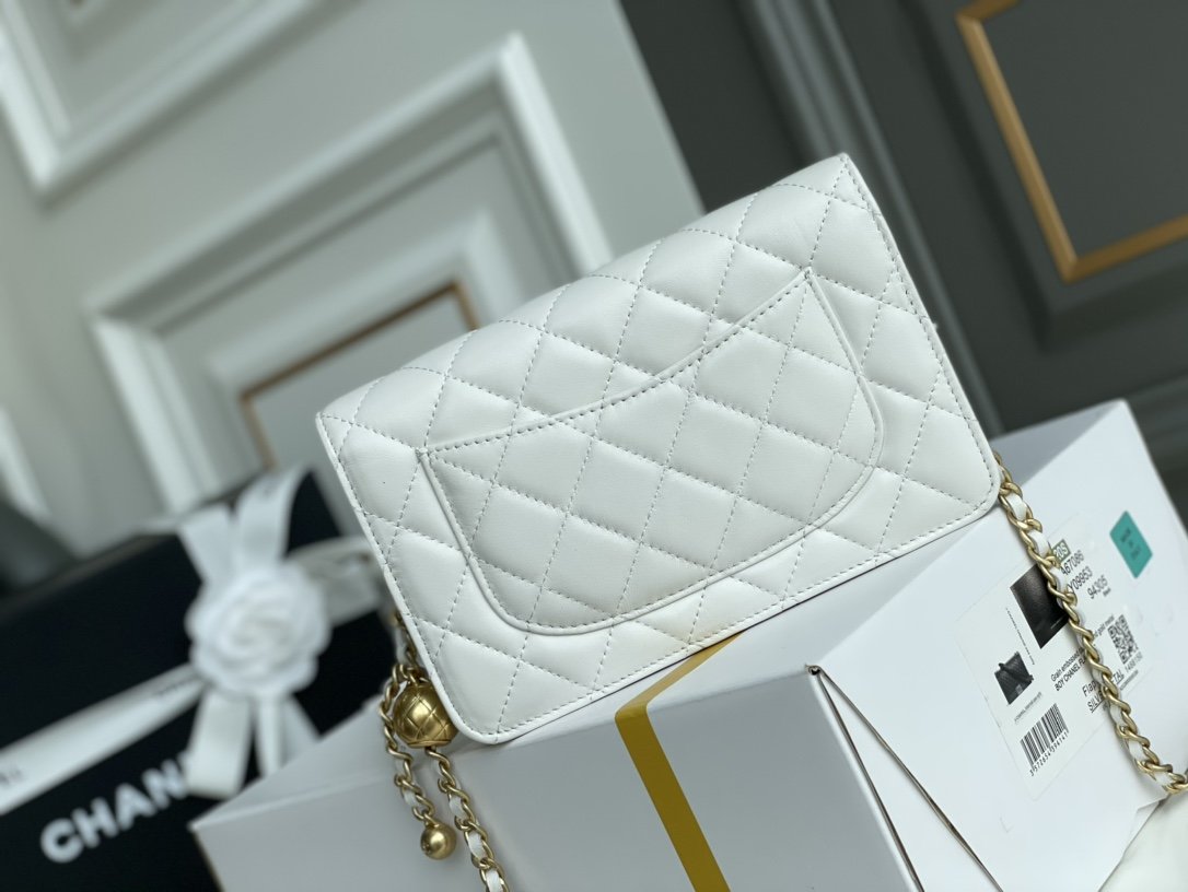 Chanel WOC Bags